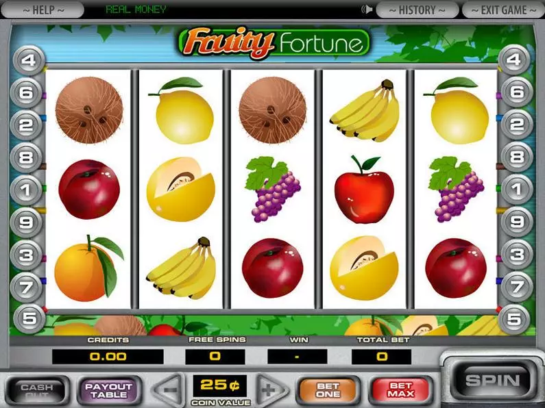 Main Screen Reels - 5-Reel Fruity Fortune DGS Video 