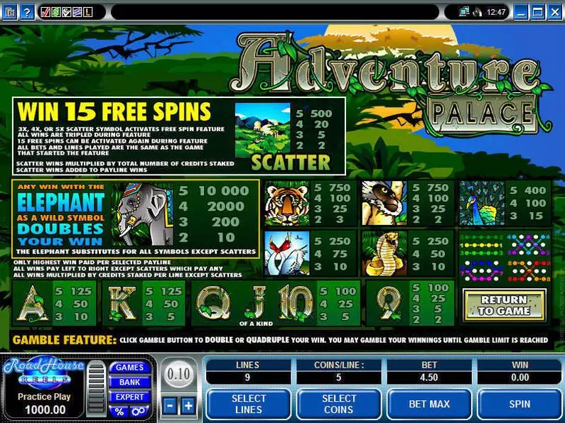 Info and Rules - Adventure Palace Microgaming Video 