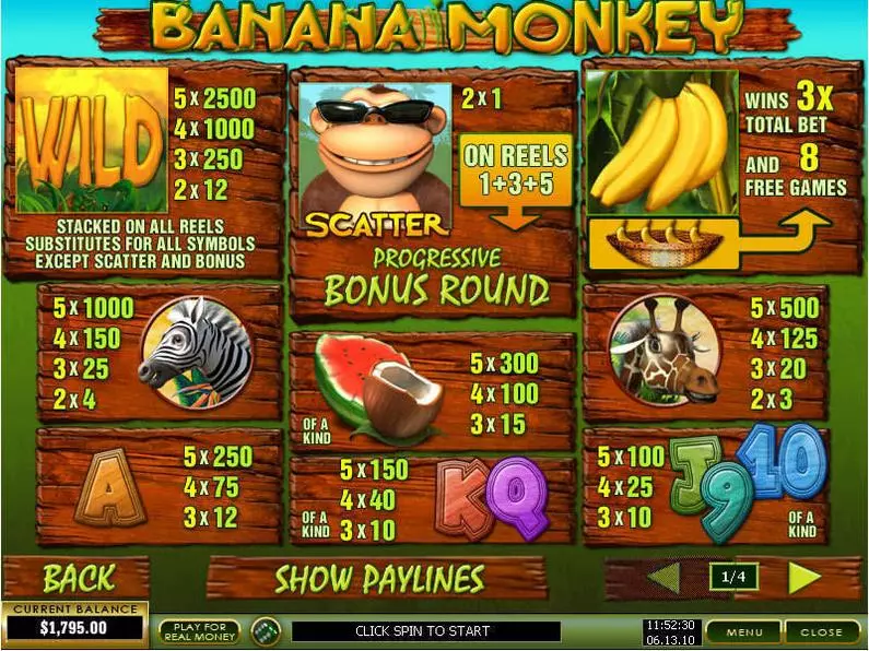 Info and Rules - Banana Monkey PlayTech Video 
