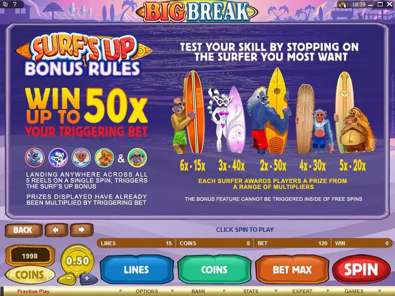Info and Rules - Big Break Microgaming Coin Based 