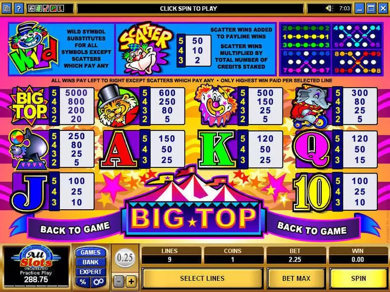 Info and Rules - Big Top Microgaming Video 