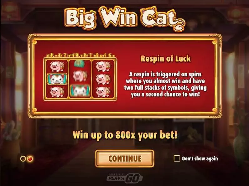  - Big Win Cat  Play'n GO  
