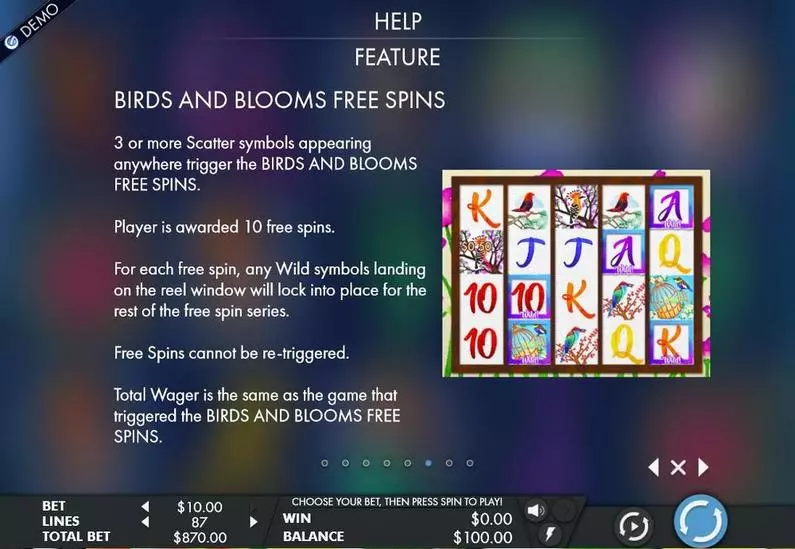 Info and Rules - Birds & Blooms Genesis  