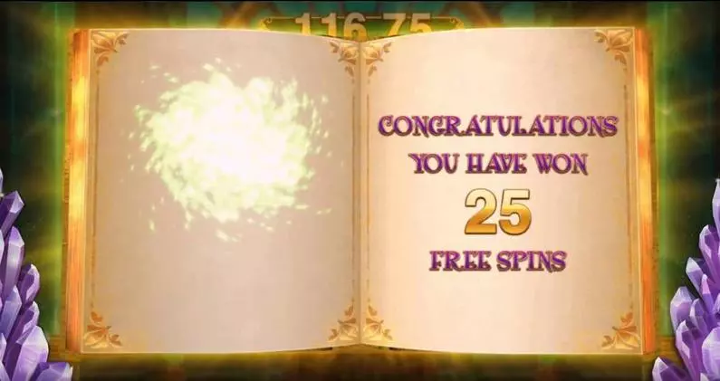 Free Spins Feature - Book of Oz Lock ‘N Spin Microgaming  