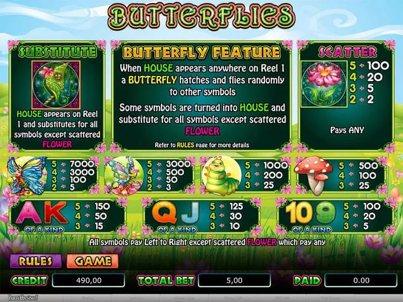 Info and Rules - Butterflies Amaya Video 