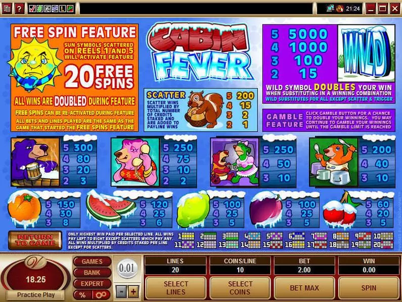 Info and Rules - Cabin Fever Microgaming Video 