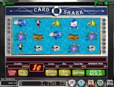 Main Screen Reels - Card Shark RTG Video 