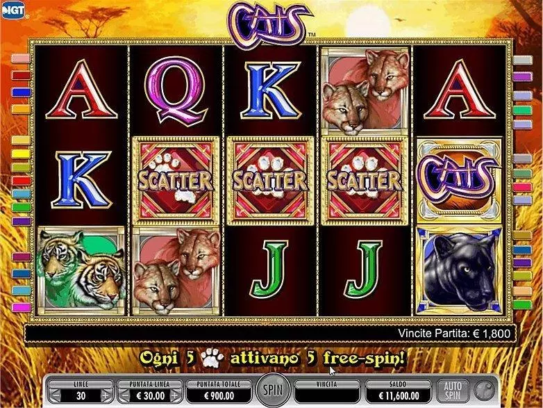 Introduction Screen - Cats IGT  