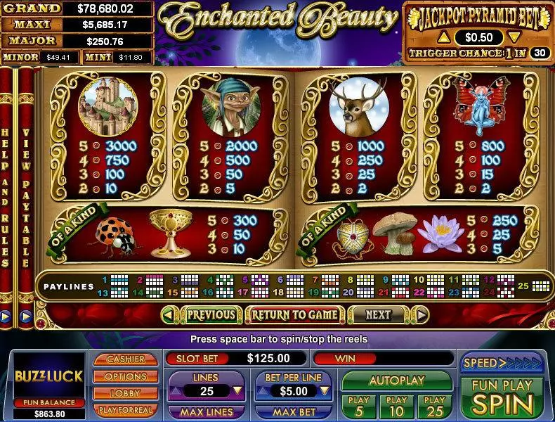 Info and Rules - Enchanted Beauty NuWorks Extra Bet 