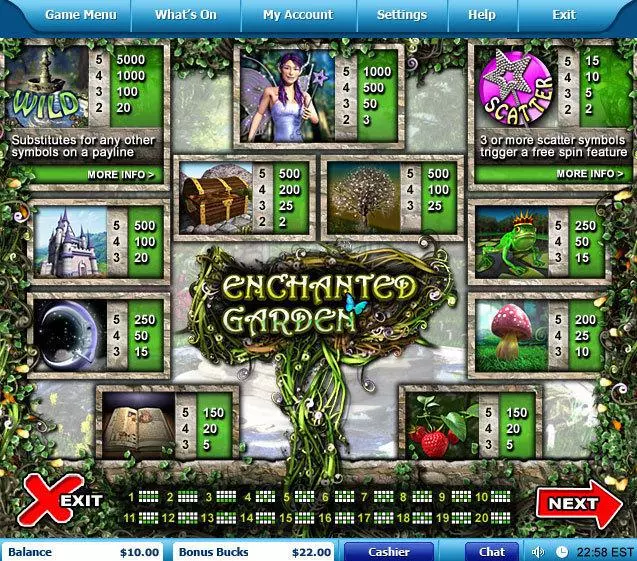 Info and Rules - Enchanted Garden Leap Frog Video 