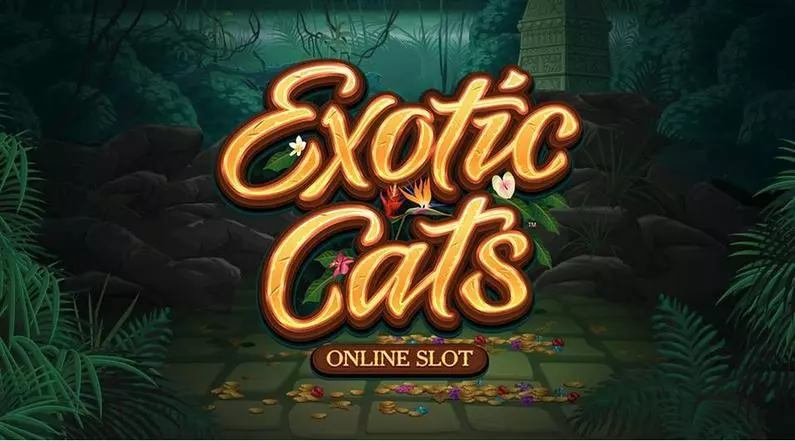 Info and Rules - Exotic Cats Microgaming  