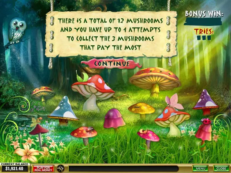 Bonus 1 - Forest of Wonders PlayTech Extra Bet 
