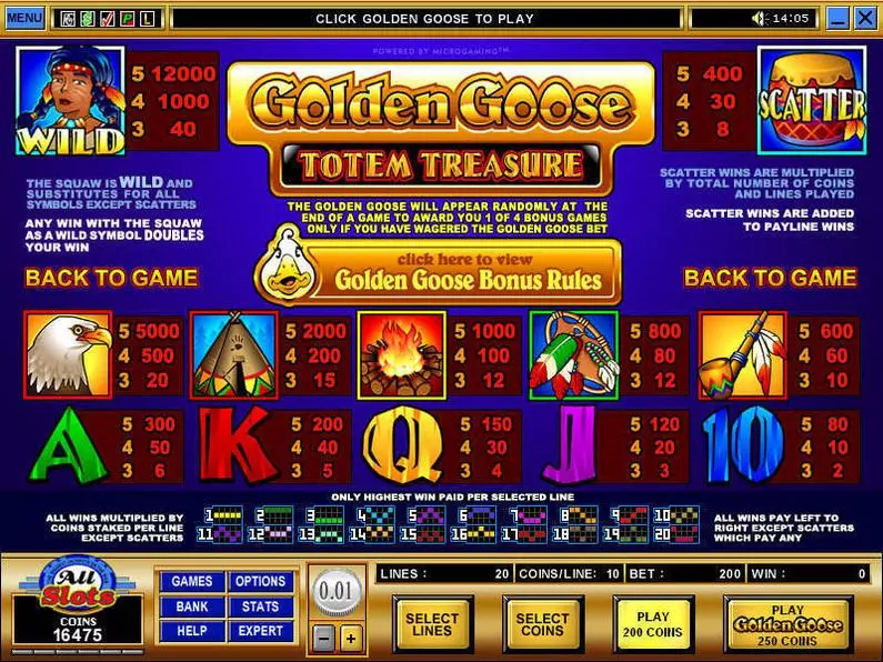 Info and Rules - Golden Goose - Totem Treasure Microgaming Coin Based 