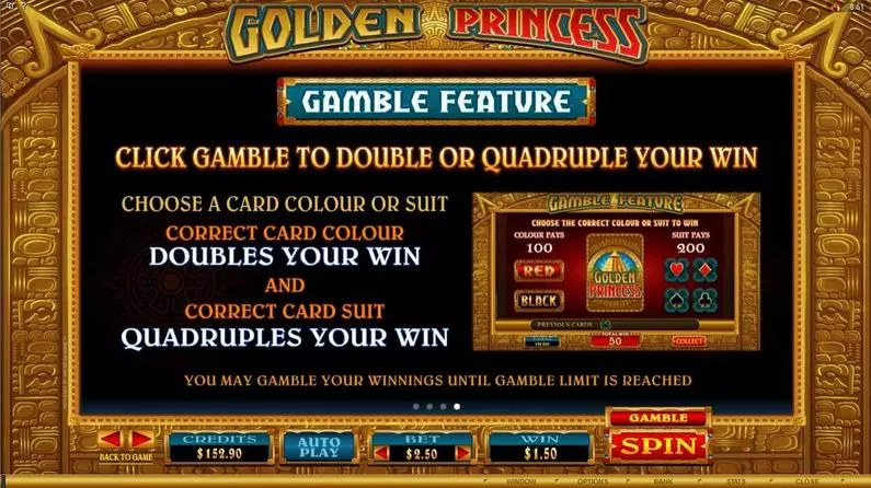 Info and Rules - Golden Princess Microgaming  