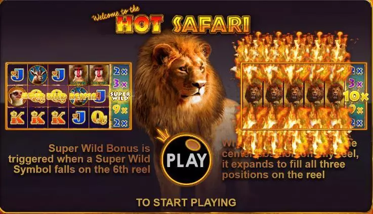Info and Rules - Hot Safari Topgame Bonus Round 