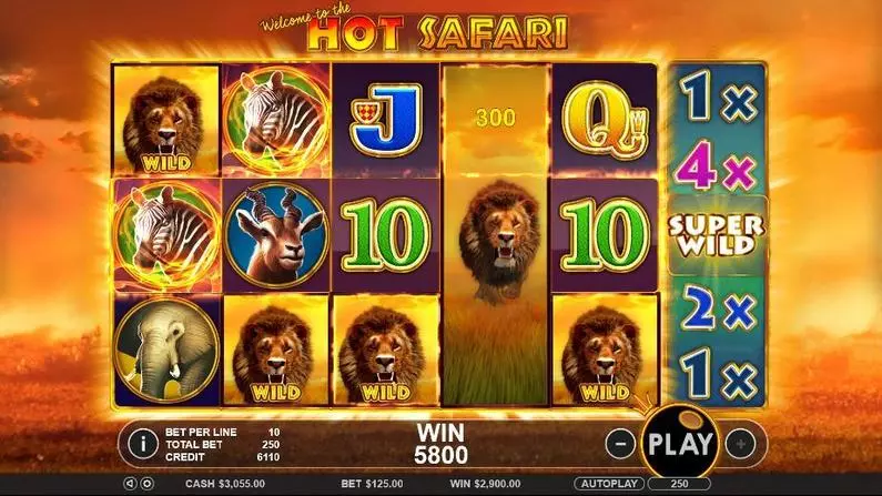 Main Screen Reels - Hot Safari Topgame Bonus Round 