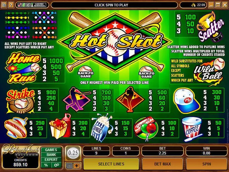 Info and Rules - Hot Shot Microgaming Video 