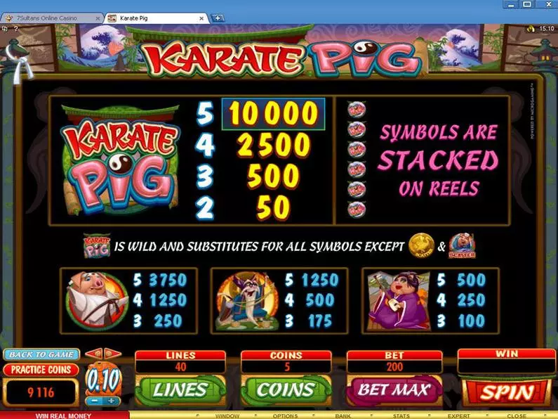 Info and Rules - Karate Pig Microgaming Video 