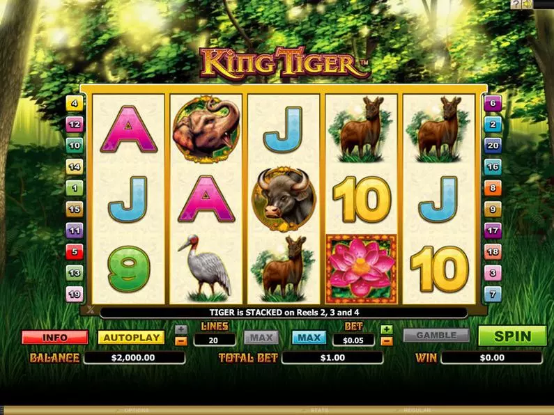 Main Screen Reels - King Tiger Microgaming Bonus Round 