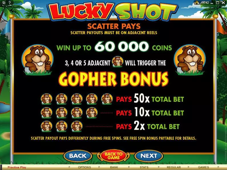 Info and Rules - Lucky Shot Microgaming Coin Based 