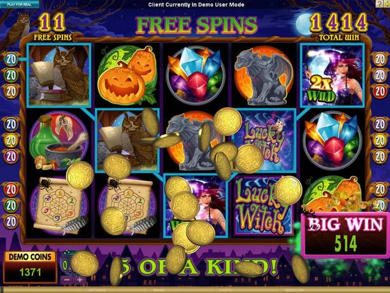 Bonus 1 - Lucky Witch Microgaming Coin Based 