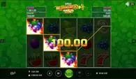 Main Screen Reels - Burning Slots Cash Mesh BF Games 5 Reel/5 Line