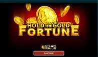 Introduction Screen - Hold The Gold Fortune 1Spin4Win 3 Reel/