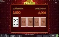 Gamble Winnings - Hot Puzzle Endorphina 5 Reel/50 Line