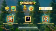 Info and Rules - Lock Breakers – Golden Nuts Buy Bonus Greentube 15 Reels/40 Line