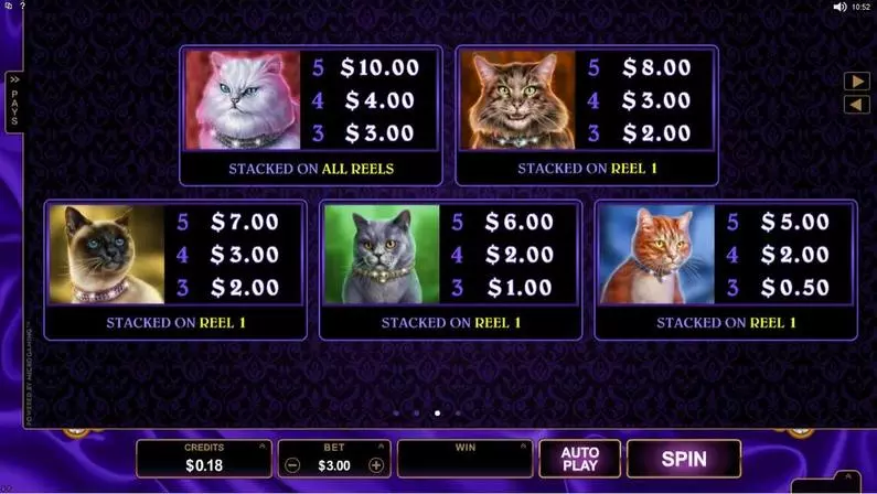Info and Rules - Pretty Kitty Microgaming 243 Ways 
