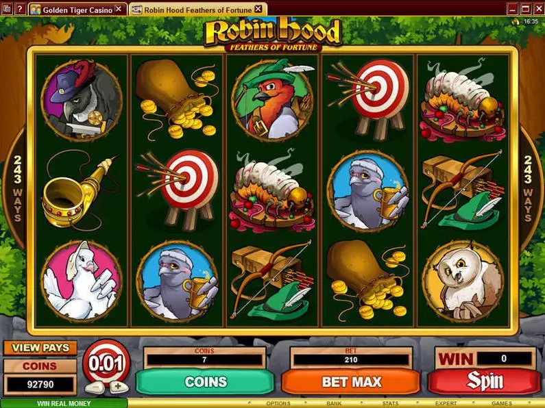Main Screen Reels - Robin Hood Feathers of Fortune Microgaming Coin Based 