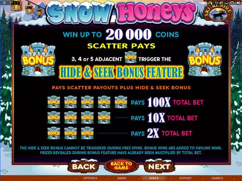 Info and Rules - Snow Honeys Microgaming Video 