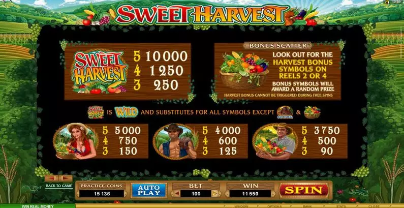 Info and Rules - Sweet Harvest Microgaming Bonus Round 