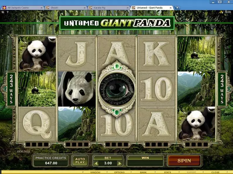 Main Screen Reels - Untamed - Giant Panda Microgaming 243 Ways 
