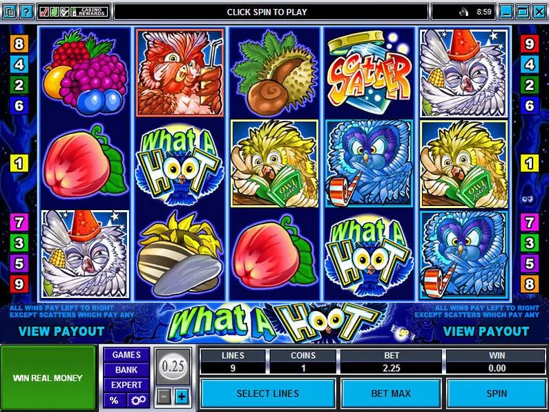 Main Screen Reels - What a Hoot Microgaming Video 