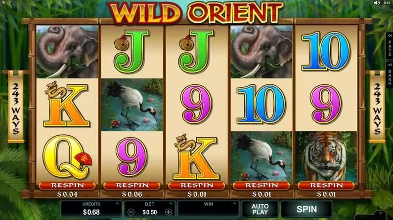 Introduction Screen - Wild Orient Microgaming 243 Ways 