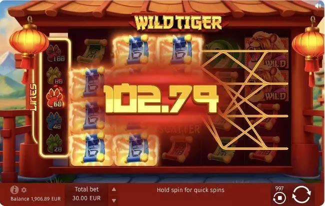 Winning Screenshot - Wild Tiger BGaming  